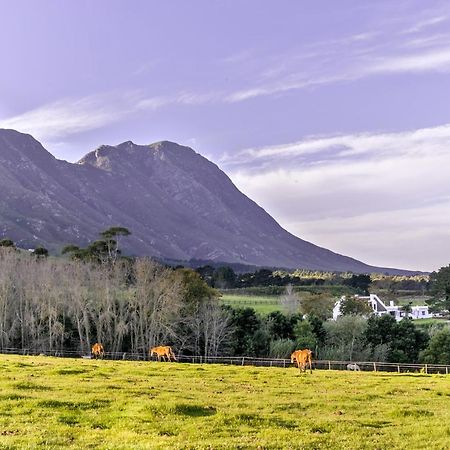 Hemel 'N Aarde Stud Hotel Hermanus Eksteriør billede